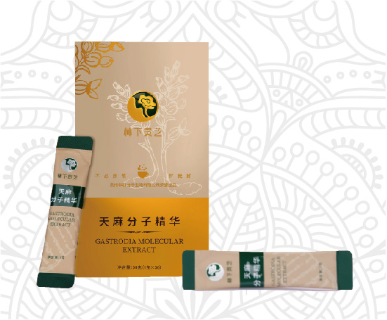 天麻分子